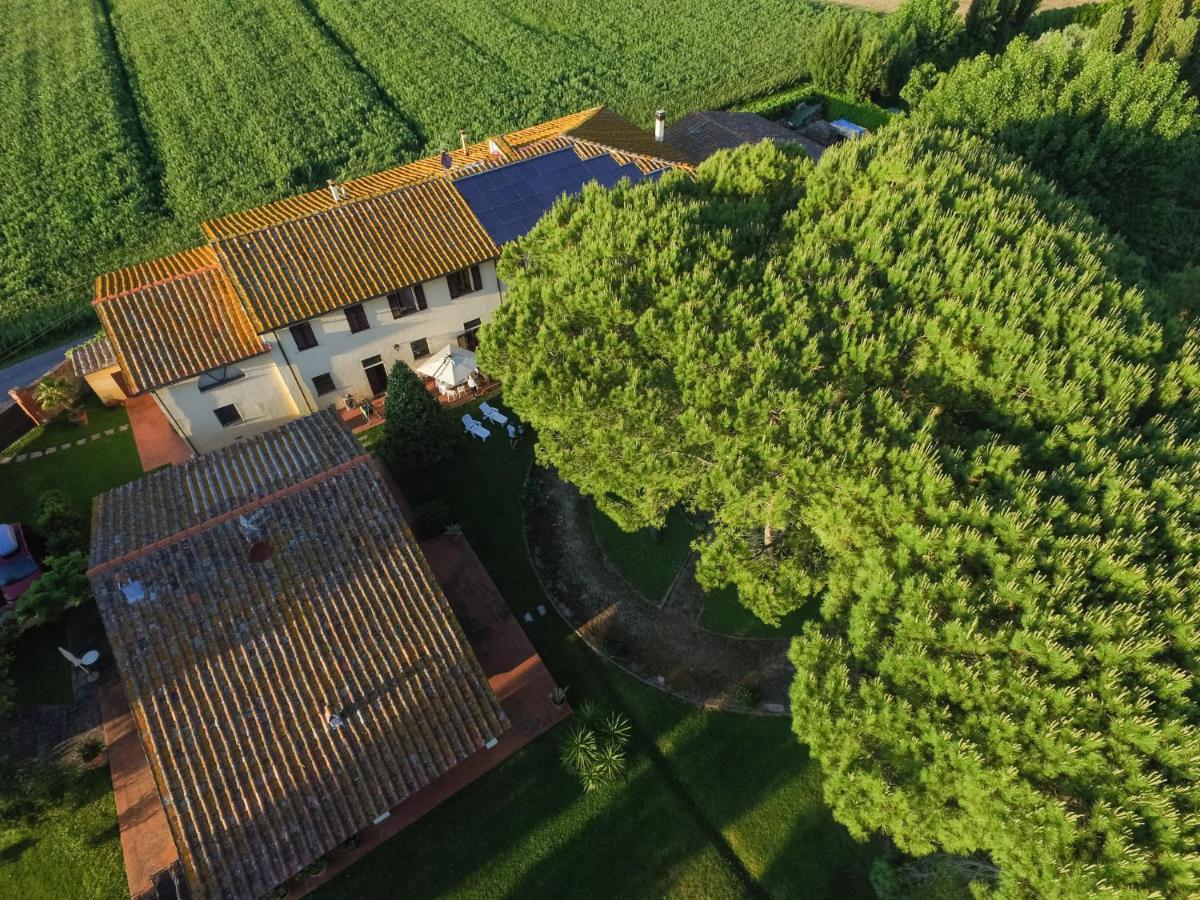 Podere Magnolia بيزا المظهر الخارجي الصورة